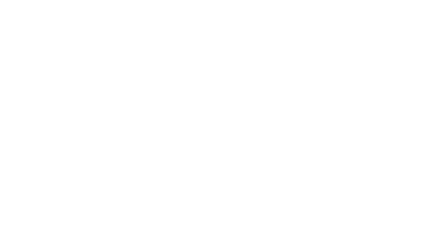 The View Logo small white