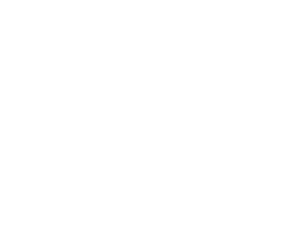 The View Logo white