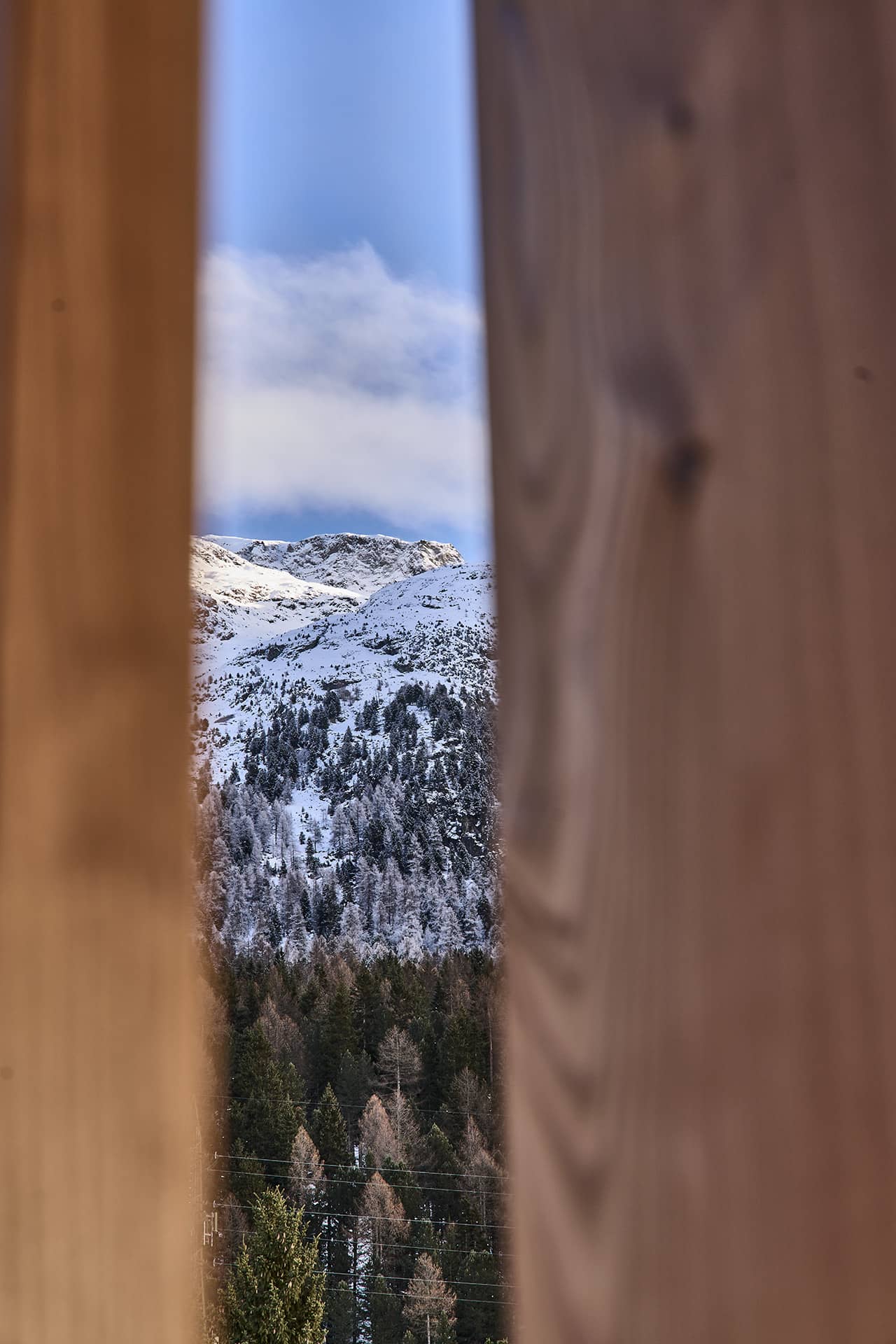 Blick durch die Holzfassade vom Balkon auf die verschneiten Berge und den Wald